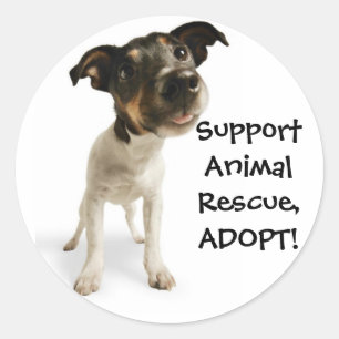 Support Animal Rescue stickers