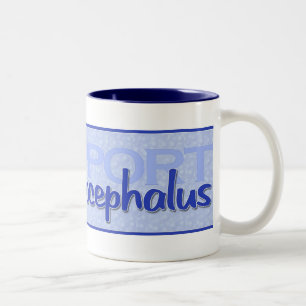 "Support Hydrocephalus" Mug
