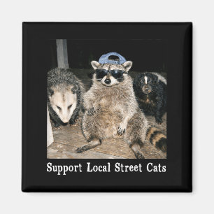 Support local street cats funny raccoon skunk magnet