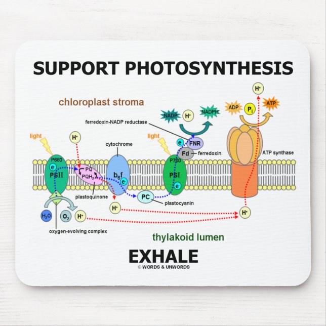 Support Photosynthesis Exhale (Biochemistry Mouse Pad (Front)