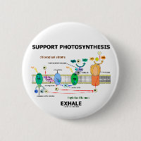 Support Photosynthesis Exhale (Environmental)