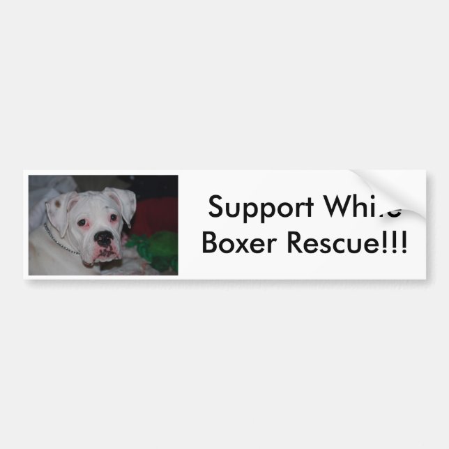 Support White Boxer Rescue!!! Bumper Sticker (Front)