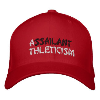 SUPREME ASSAILANT EMBROIDERED HAT