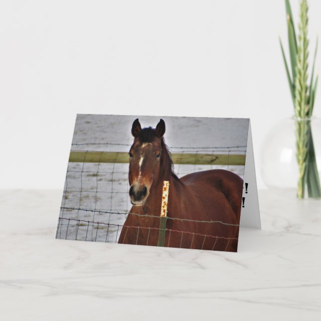 "Supreme Reign" Birthday Card (Front)