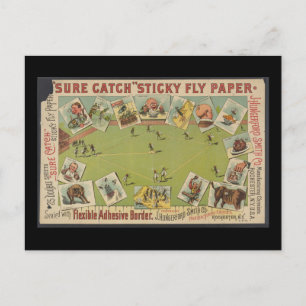 "Sure Catch" Sticky Fly Paper Postcard