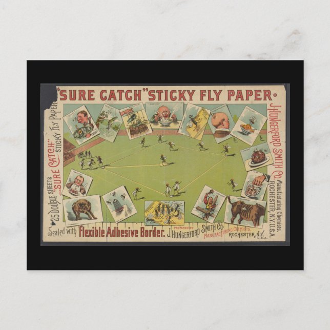 "Sure Catch" Sticky Fly Paper Postcard (Front)
