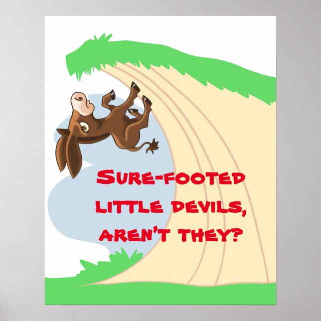 Sure-footed Little Donkey Poster (Front)