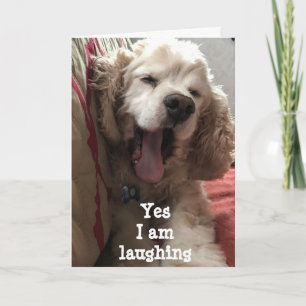 SURE I LAUGH....YOU ARE **60** TODAY CARD