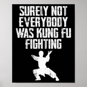 Surely Not Everybody Was Kung Fu Fighting Karate 2 Poster