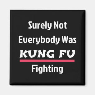 Surely Not Everybody Was KUNG FU Fighting Magnet