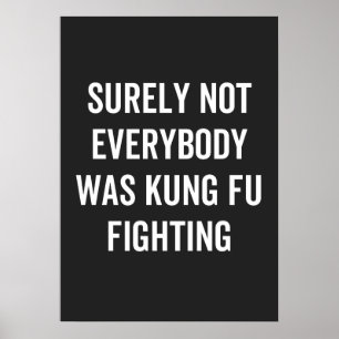 Surely Not Everybody Was Kung Fu Fighting Poster