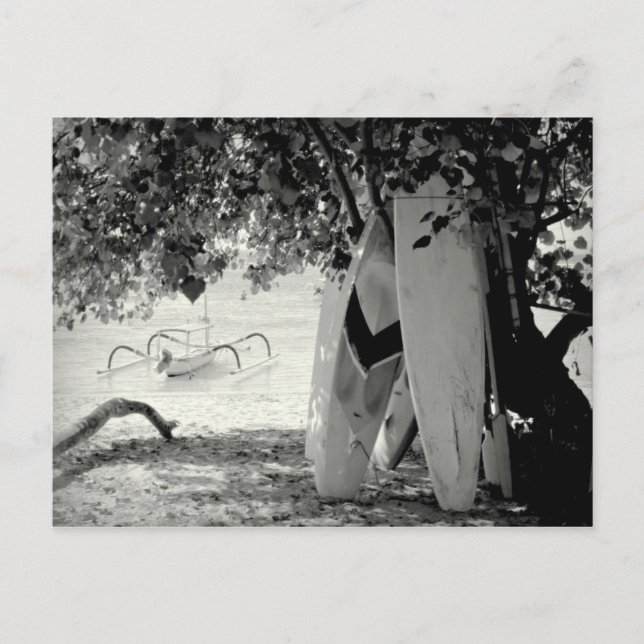 Surfboards Under a Tree Postcard (Front)