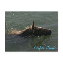 Surfer Dude Postcard