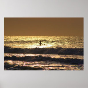 surfer girl poster