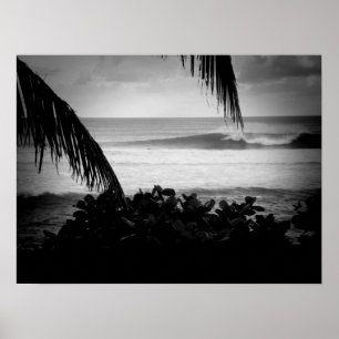 Surfers Conducting Business B&W Poster