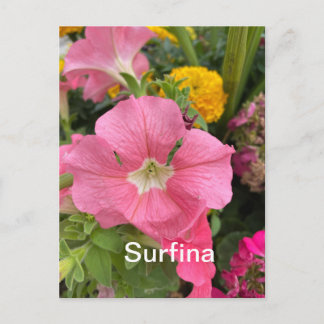 Surfina Postcard