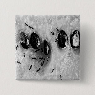 surfing ants 15 cm square badge