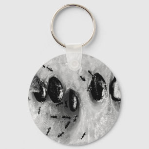 surfing ants key ring