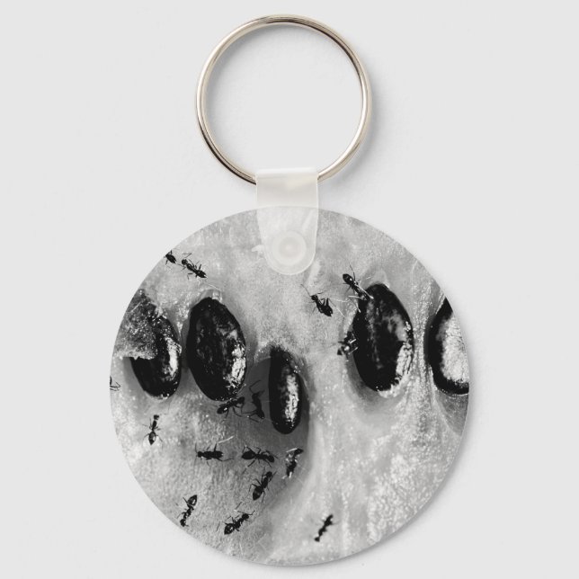 surfing ants key ring (Front)