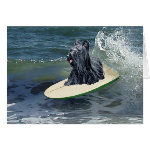 Surfing Skye Terrier