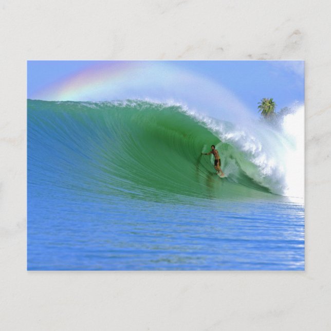 Surfing The Perfect Wave. Postcard (Front)