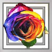 Surfing the Rainbow Rose