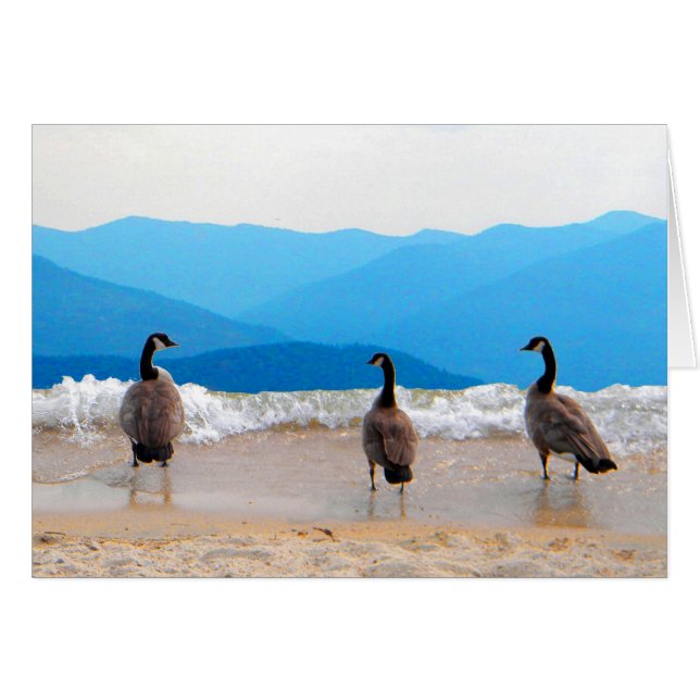Surf's Up! - Geese (Front Horizontal)