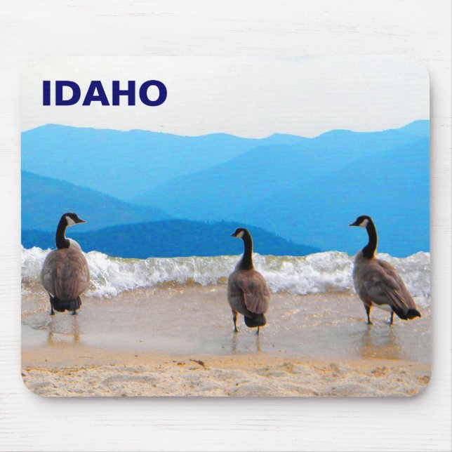 Surf's Up! - Geese Mouse Pad (Front)
