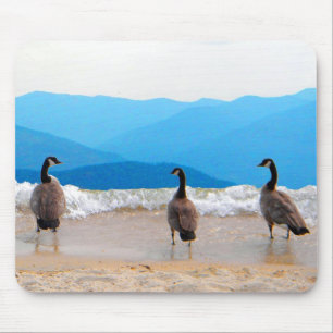 Surf's Up! - Geese Mouse Pad