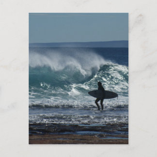 Surfs Up Postcard