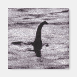 Surgeon's Photo Magnet
