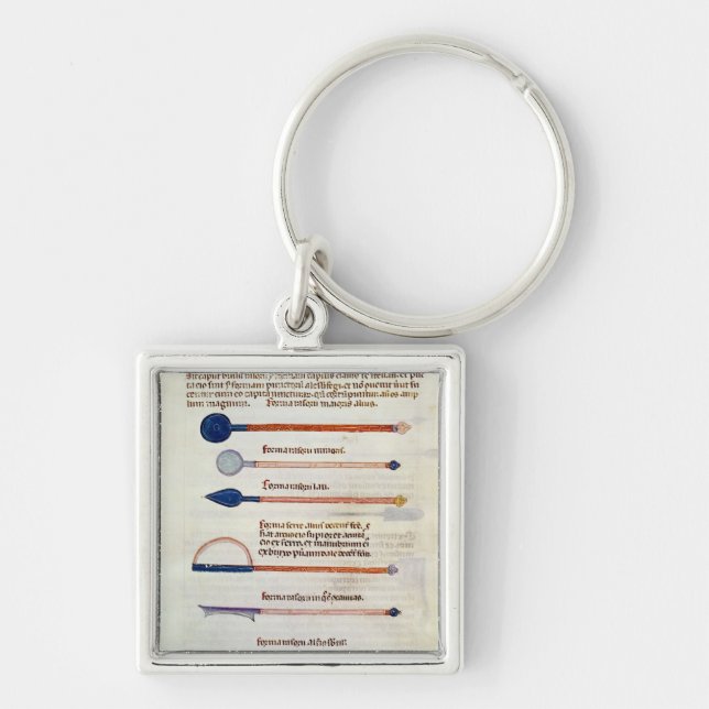 Surgical instruments from a treatise key ring (Front)