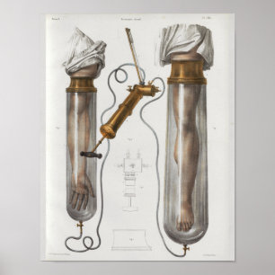 Surgical Medical Instruments Vintage Anatomy Print