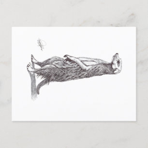 SURICATA. MEERKAT POSTCARD