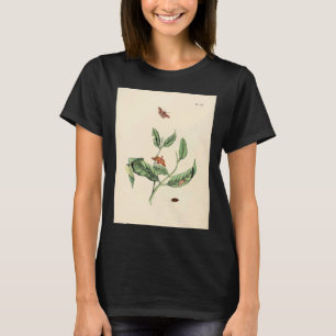 Surinaamsche Vlinders Naar Het Leven Geteekend Pap T-Shirt
