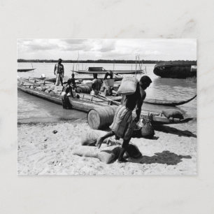 Suriname Beach Postcard
