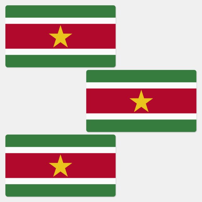 Suriname Flag (Group)