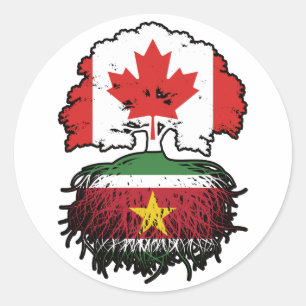 Suriname Surinamese Canadian Canada Tree Roots Classic Round Sticker