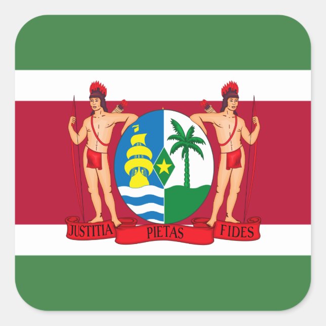 Surinamese Flag & Coat of Arms, Flag of Suriname Square Sticker (Front)