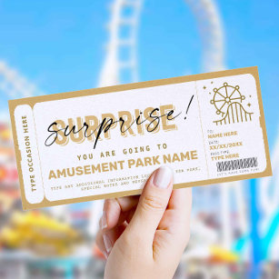 Surprise Amusement Park Theme Park Ticket Gift