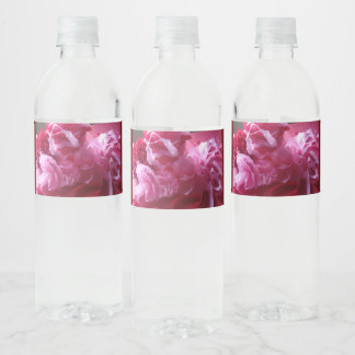 Surprise Birthday Water Bottle Label Set