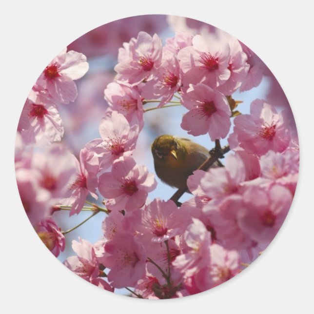 surprise! classic round sticker (Front)