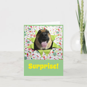 Surprise! German Shepherd Birthday Greeting Card