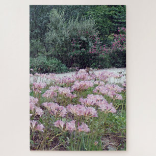 Surprise Lilies Garden Jigsaw Puzzle