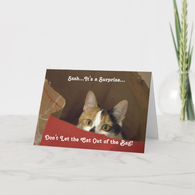 Surprise Party Invitation Featuring Calico Cat (Front)