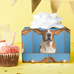 Surprised Basset Hound Wrapping Paper