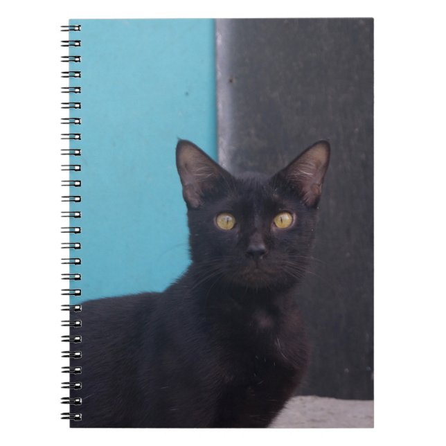 Surprised Black Cat Notebook (Front)