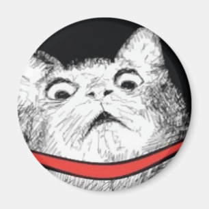 Surprised Cat Gasp Meme - Magnet