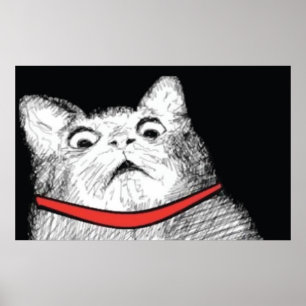 Surprised Cat Gasp Meme - Poster