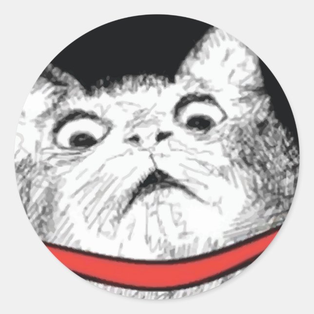 Surprised Cat Gasp Meme - Round Stickers (Front)